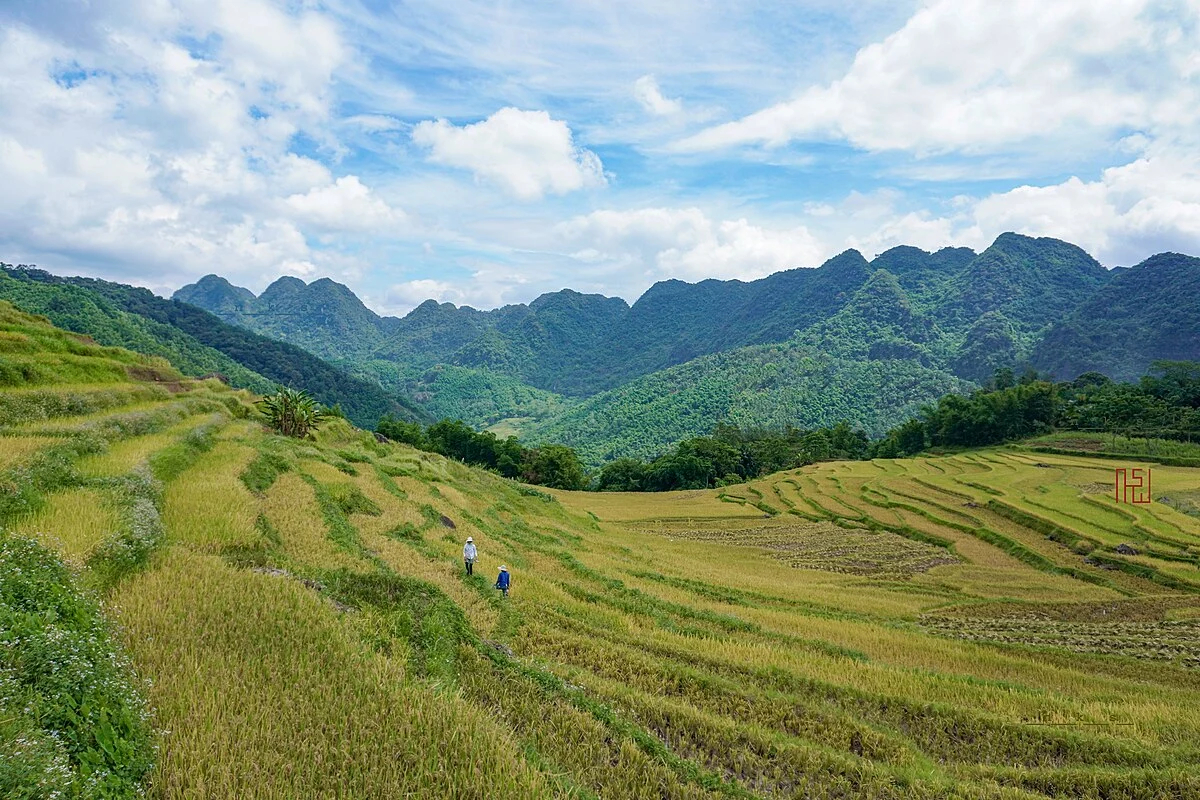 Bicycle Tour with a Hidden Gem in a Nature Reserve 9 Days